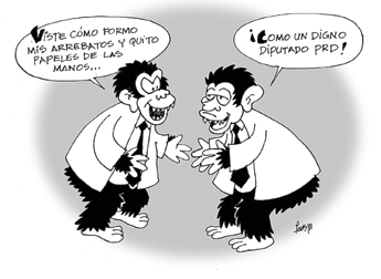 haga click para ampliar la imagen