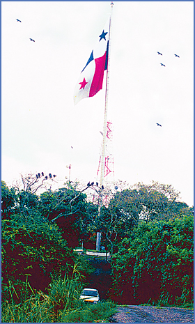 Imagen foto