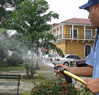 Imagen foto