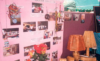haga click para ampliar la imagen