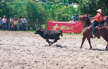 haga click para ampliar la imagen
