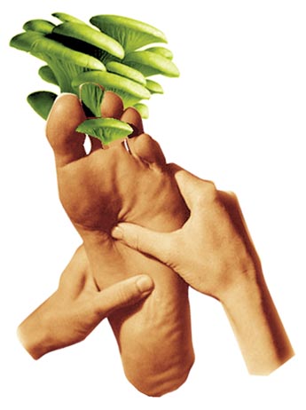 Imagen foto