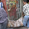 Imagen foto