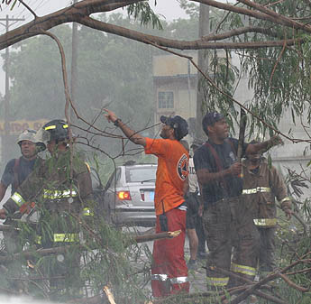 Imagen foto
