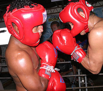 Imagen foto