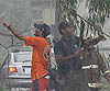 Imagen foto