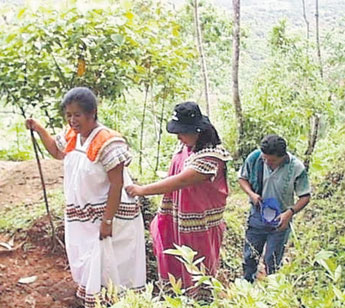 haga click para ampliar la imagen