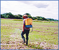 Imagen foto