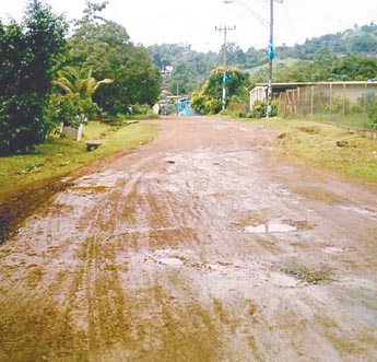 Imagen foto