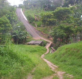 Imagen foto