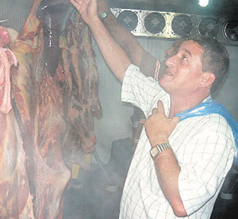 haga click para ampliar la imagen