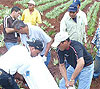 haga click para ampliar la imagen