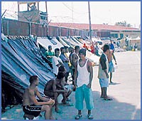 Imagen foto