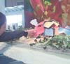 Imagen foto