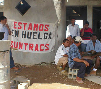 Imagen foto