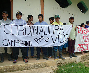haga click para ampliar la imagen