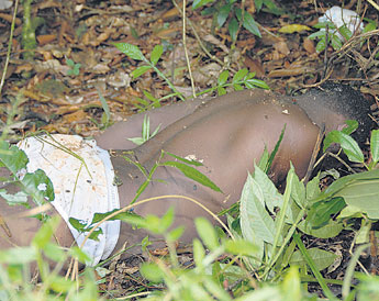 haga click para ampliar la imagen