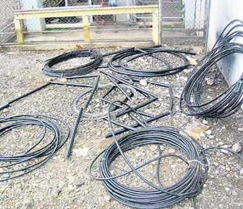 haga click para ampliar la imagen