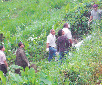 haga click para ampliar la imagen