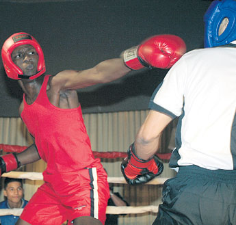 haga click para ampliar la imagen