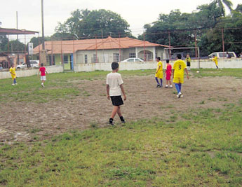haga click para ampliar la imagen