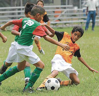 Imagen foto