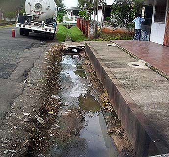 Imagen foto