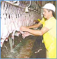 Imagen foto