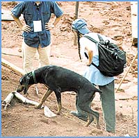 Imagen foto