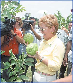 Imagen foto