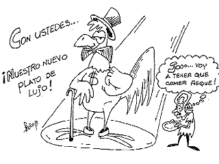 Imagen foto
