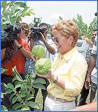 Imagen foto