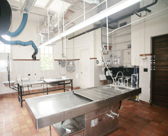 haga click para ampliar la imagen