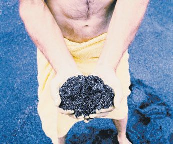 haga click para ampliar la imagen