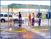 Imagen foto