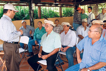 haga click para ampliar la imagen