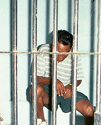 Imagen foto
