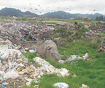 haga click para ampliar la imagen