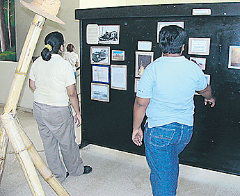 haga click para ampliar la imagen