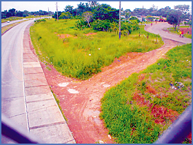Imagen foto