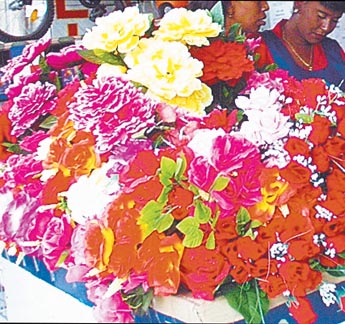 Imagen foto