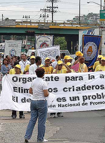 Imagen foto