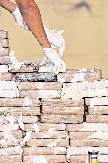 haga click para ampliar la imagen