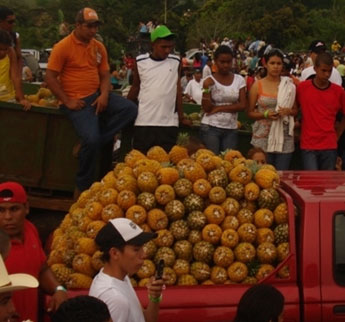 haga click para ampliar la imagen
