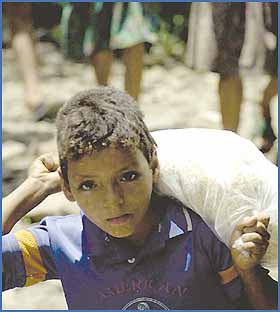 Imagen foto