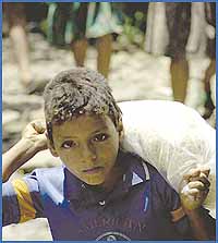 Imagen foto