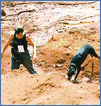 Imagen foto