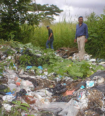 Imagen foto