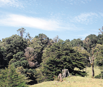 haga click para ampliar la imagen