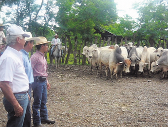 haga click para ampliar la imagen